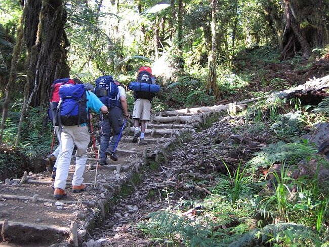 Excellently prepared path. This used to be a notorious section of mud and hidden roots. 
