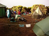 Mweka camp, 3100m