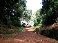 At the Gate